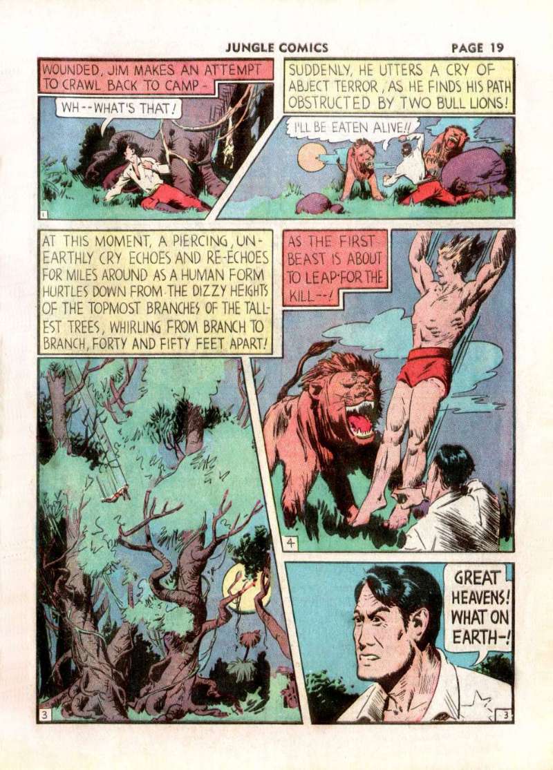 Page 4: Jungle Comics #2 (1940), page 19